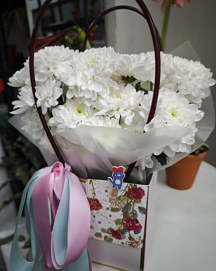 Белоснежная хризантема в подарочной упаковке с доставкой по Алматы