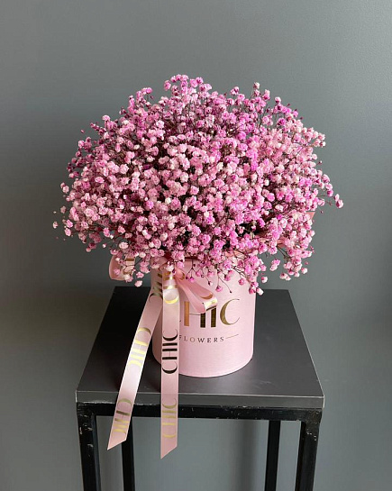 Gypsophila in a box with delivery to Astana