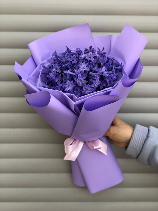 Bouquet of hyacinths