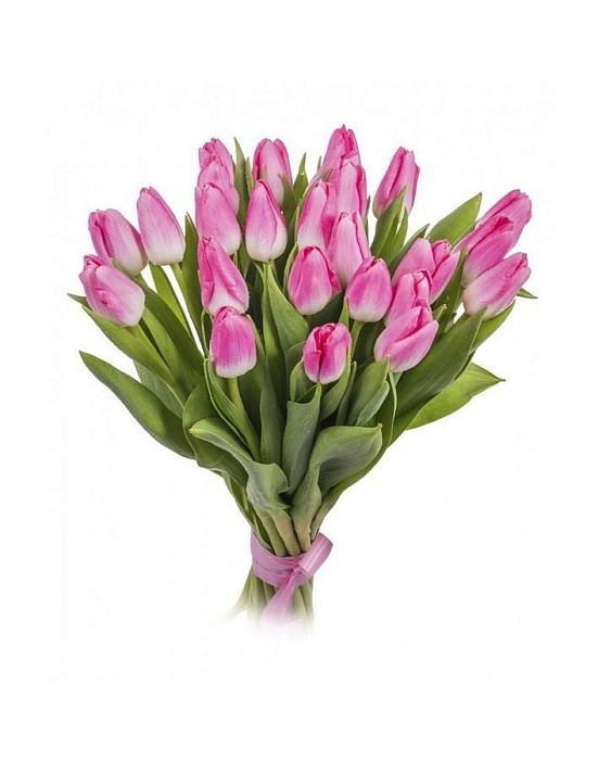 Bouquet of 25 pink tulips