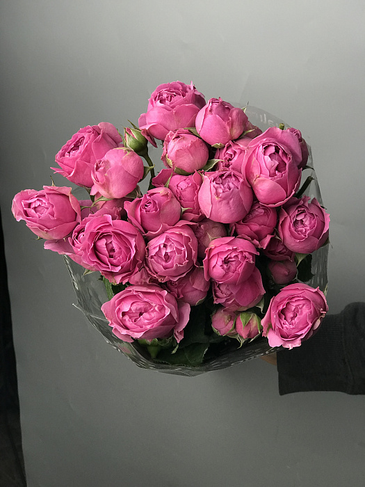 Peony bush roses in a pack (10pcs)