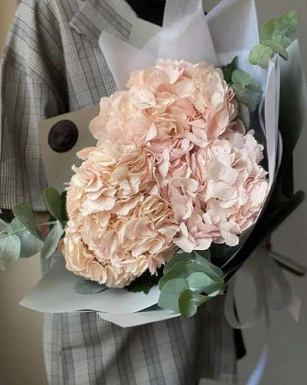 pink hydrangeas with delivery to Almaty