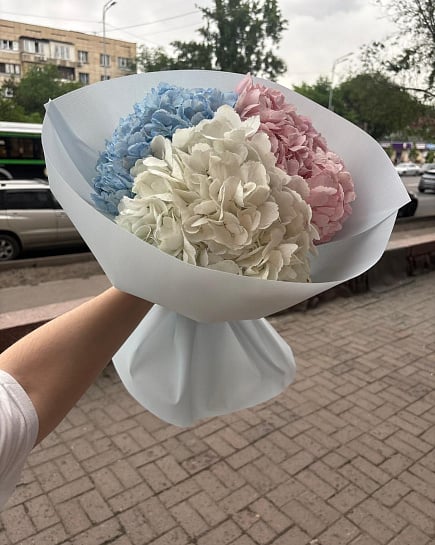 Трио гортензий в пастельных тонах с доставкой по Алматы