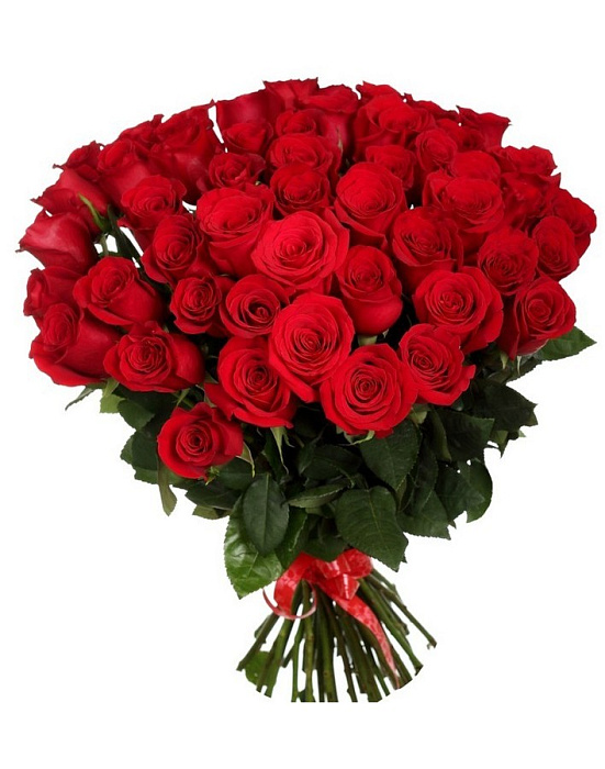 33 long red roses deluxe