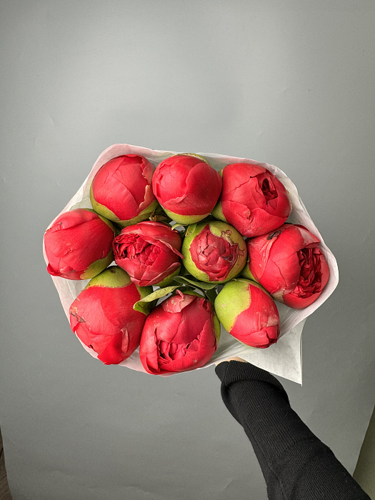 Bright peonies in a pack (10 pcs)