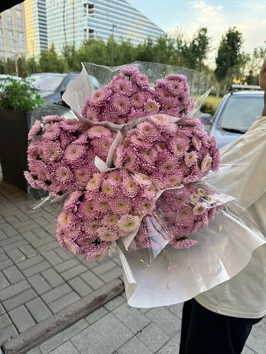 Хризантемы сантини 10 шт в пачке (10 шт) - купить в Астане с доставкой
