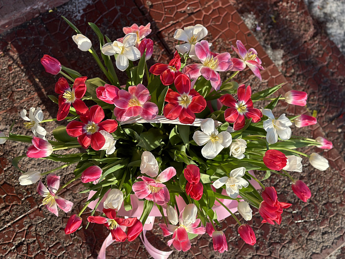 51 tulips in a basket