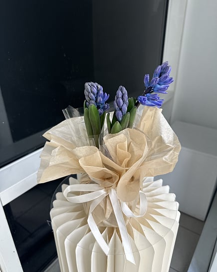 Весенние гиацинты в стильной упаковке с доставкой по Астане