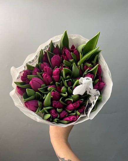 Purple tulips 50 pcs wholesale with delivery to Astana