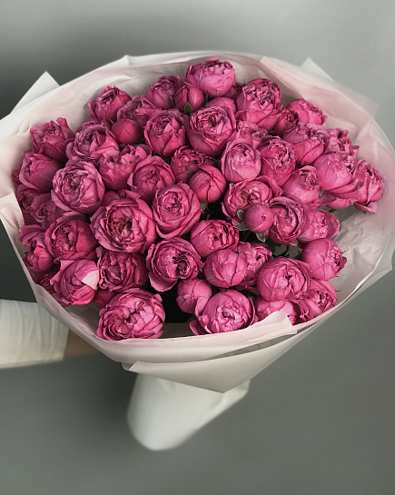 Juliet Cerise 15 pcs with delivery to Almaty