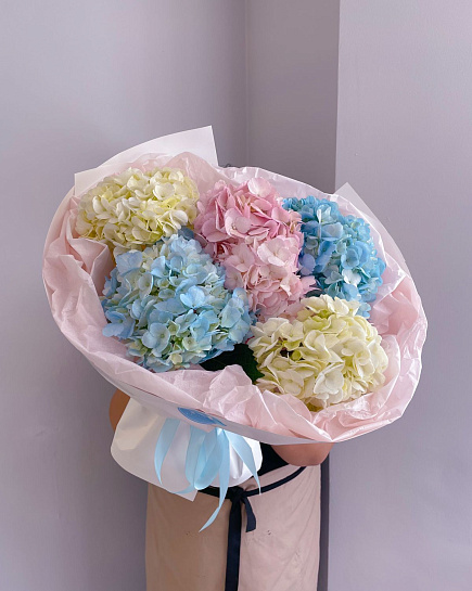 Bouquet of Bouquet of 5 hydrangeas flowers delivered to Astana