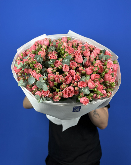 Shrub roses “pink dimension XL” with delivery to Astana