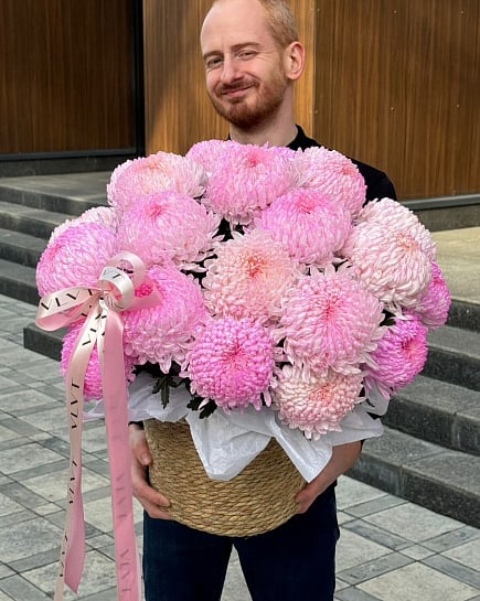 Хризантема в Кашпо by VLVT Flowers с доставкой по Алматы