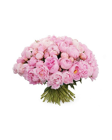Bouquet of Bouquet of 101 peonies flowers delivered to Rudniy