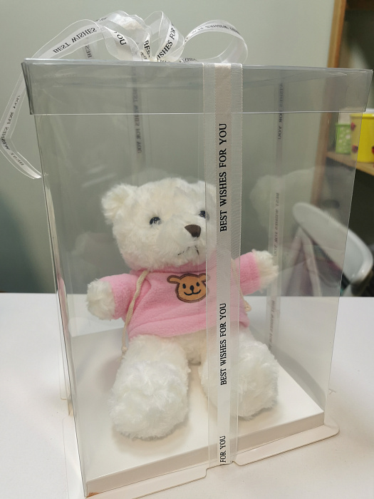 Teddy bear in a gift box