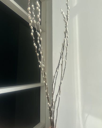 Минималистичные веточки вербы с доставкой по Астане