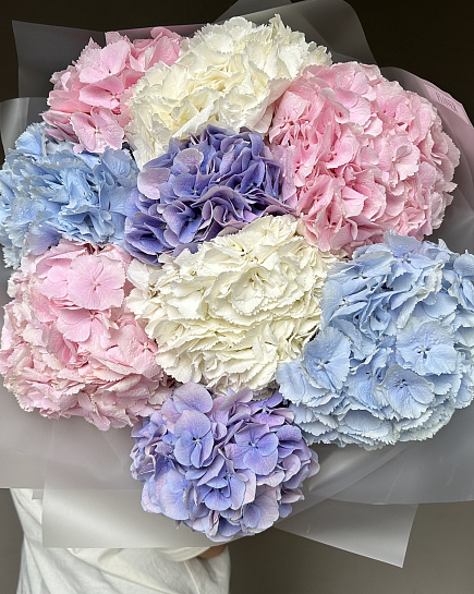 9 Hydrangea Mix with delivery to Astana