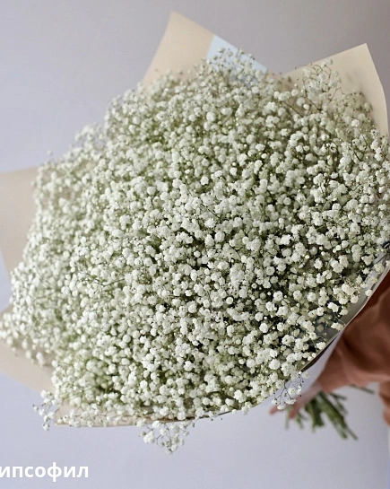 Bouquet of Bouquet of white gypsophila (25) flowers delivered to Astana