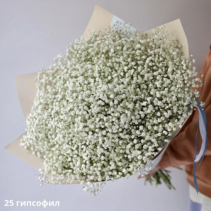 Bouquet of white gypsophila (25)