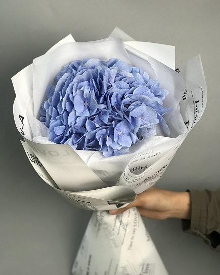 Mono-bouquet of hydrangea 1 piece with delivery to Astana