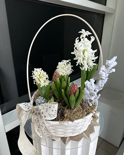 Весенняя композиция с гиацинтами в корзине с доставкой по Астане