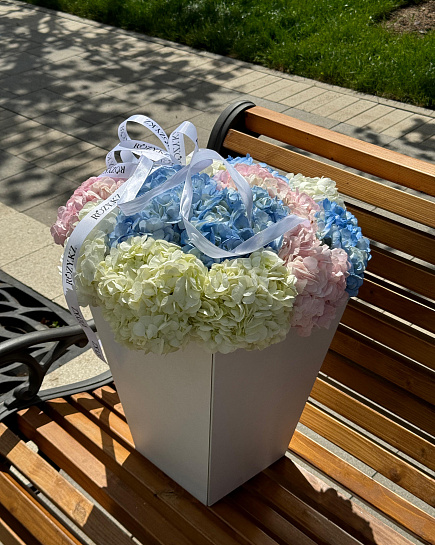 Bouquet of Bouquet of 15 hydrangeas in a carrier flowers delivered to Astana