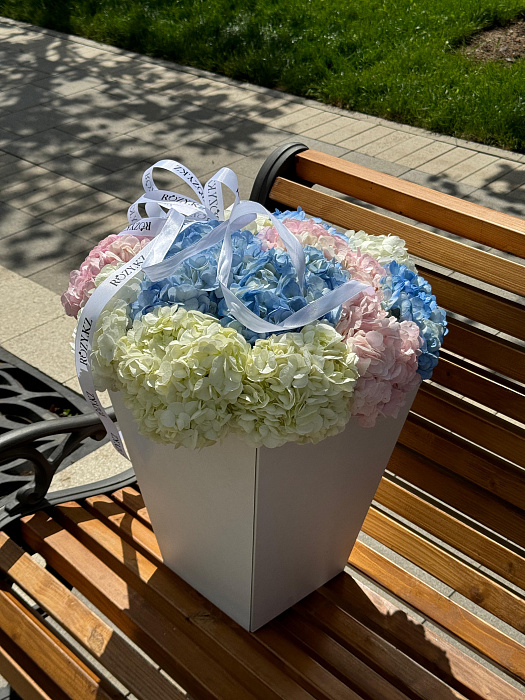 Bouquet of 15 hydrangeas in a carrier