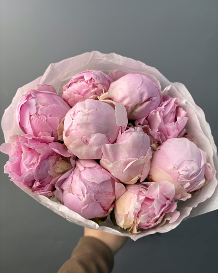“Pillow Talk” peonies in a pack (10pcs) with delivery to Astana