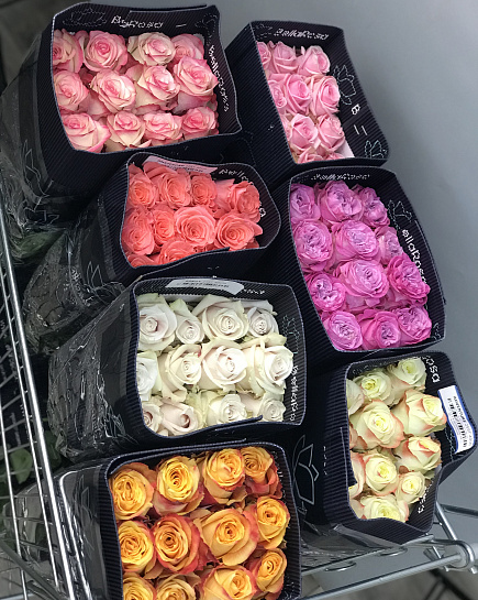 25 roses in a pack (shade to the taste of the florist) with delivery to Astana