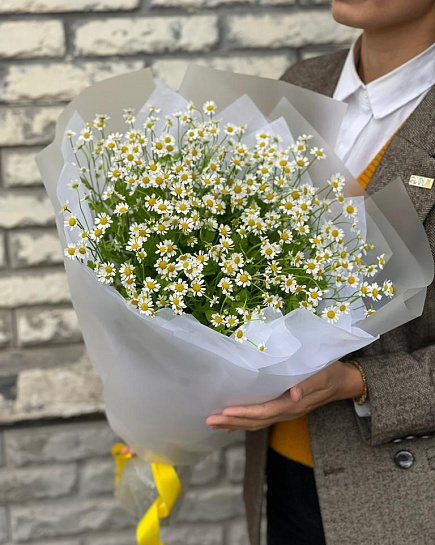 Bouquet of chamomile with delivery to Almaty