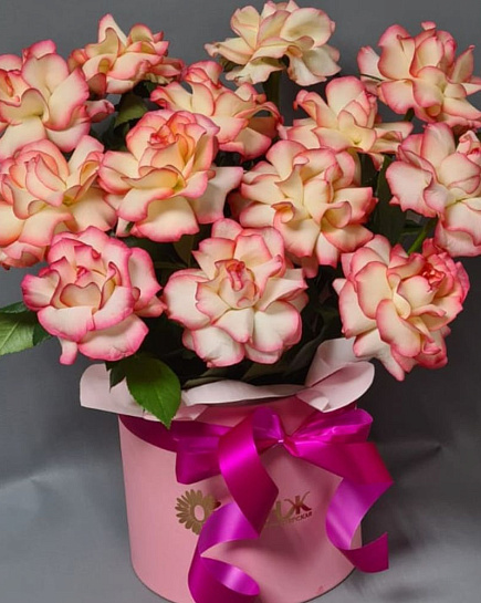 Bouquet of 11 French roses in a box with delivery to Almaty