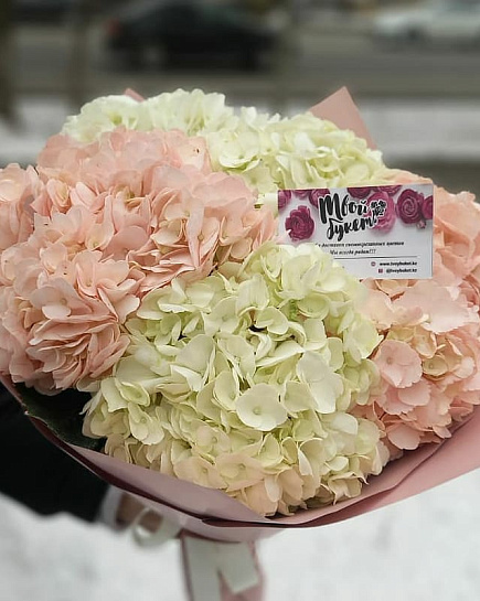 Bouquet of Mix hydrangeas flowers delivered to Almaty