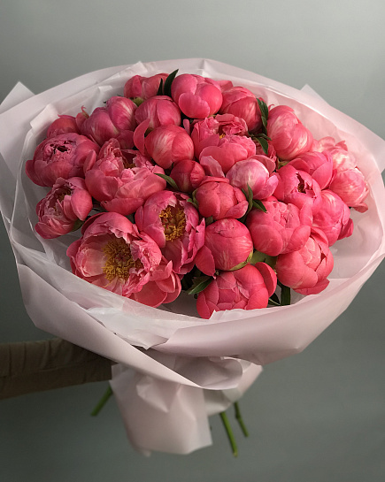 Peonies Coral Charm 25 pcs with delivery to Almaty