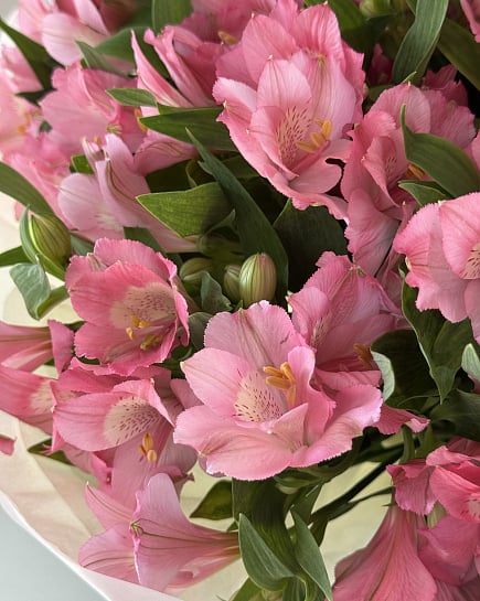 Mona pink  с доставкой по Алматы