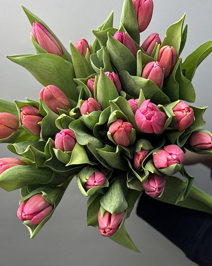 Purple tulips 15 pcs in a bouquet with delivery to Astana