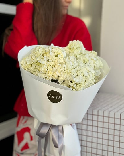 Моно букет из гортензии WHITE с доставкой по Астане