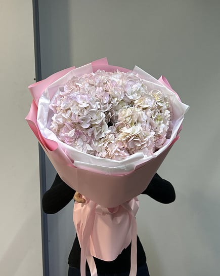 Розово-белый букет из гортензий крупный круглый with delivery to Astana