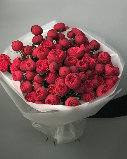 Red piano 25шт with delivery to Astana