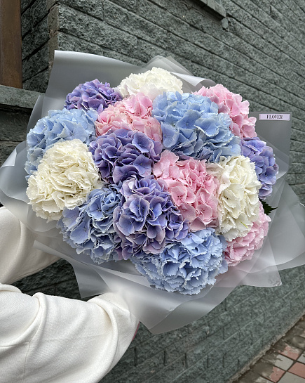 Mix 15 hydrangeas with delivery to Astana