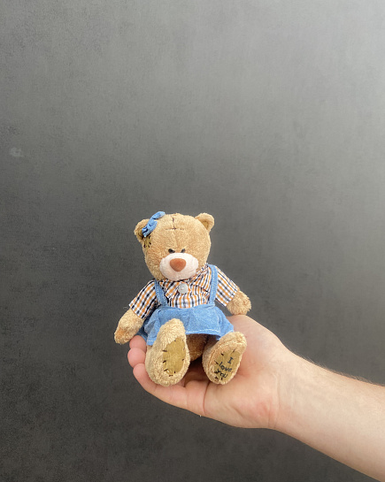 Teddy 14cm with delivery to Astana