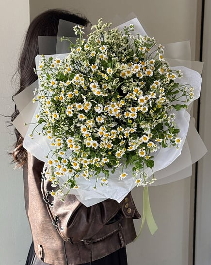 Ромашки VLVT Flowers с доставкой по Алматы