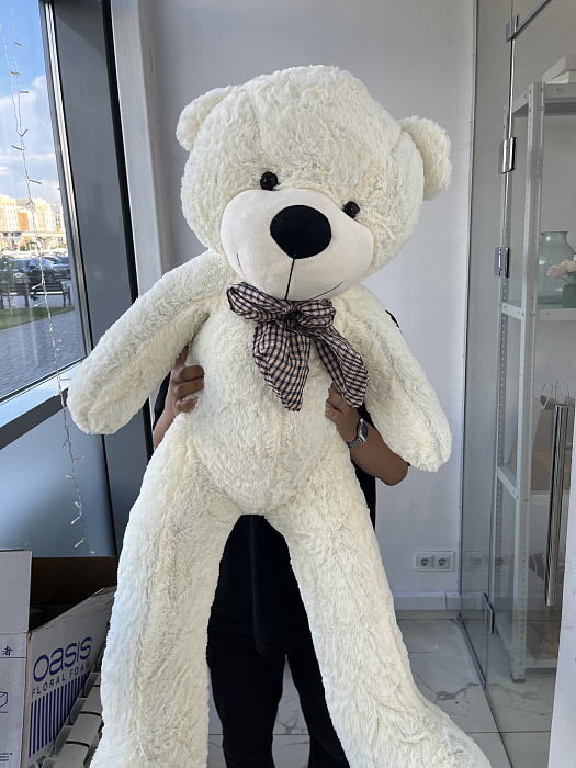 Bear 120 cm