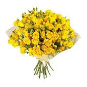 Bouquet of 51 yellow rose bushes