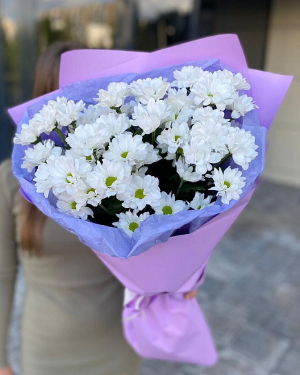 Bouquet of Bouquet of 7 chrysanthemums flowers delivered to Almaty
