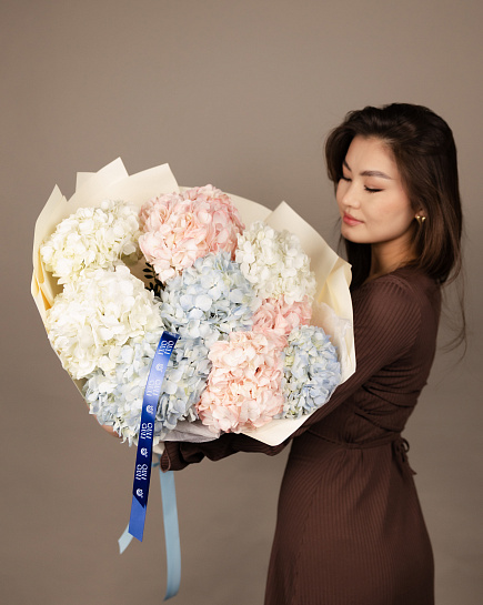 Hydrangeas Premium with delivery to Astana