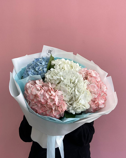 Bouquet of cloud of hydrangeas flowers delivered to Kostanay.