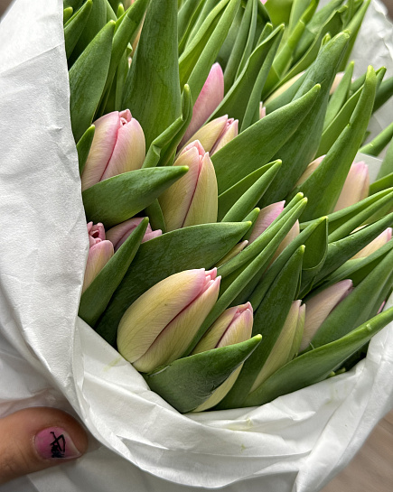 Bouquet of Tulips in a pack (50 pcs) flowers delivered to Astana