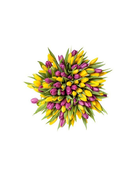 Микс-букет 201 желтый и фиолетовый тюльпан
