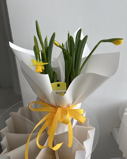 Весенние нарциссы в подарочной упаковке с доставкой по Астане
