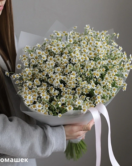 Bouquet of Bouquet of daisies (49) flowers delivered to Shymkent